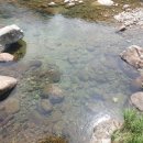 산골산장 이미지