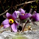 문산1리 이미지