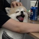 용소농장 | 8월의 무성의