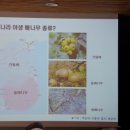 KBS 수원센터 이미지