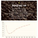 금커피 로스팅일지] <알마씨엘로 로스팅 로그 우수 로스터 선정 후기> 과테말라 이스칸 후에후에테낭고 SHB