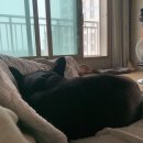 씨유대구율하서로점 | No.15 (09.12 - 18)