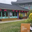 보배공원 | 제3회 보배섬 진도 작약꽃 축제 후기 진도약사사 후박림공원(ft. 부처님오신날)