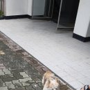 농소주공 이미지