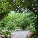 초원랜드 이미지