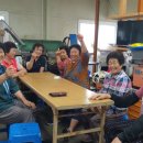 꽃밭미떡방앗간 이미지