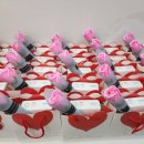 국가대표 호아 태권도 이미지