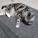 천일세탁 이미지