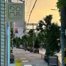 견묘양처 이미지