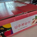 대월 - 여수시 무선6길 42-4 | 이유있는농장D3780 대월 복숭아 후기 🍑🍑