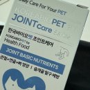 강아지관절영양제 필수 슬개골탈구 관절영양제 한국바이오펫 추천