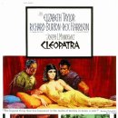 멜로테일 이미지