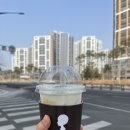모리셔스브라운영종점