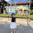 주란농장2 | 아이랑 둘이서 치앙마이 한달살기 :: 아이랑 가볼만한 곳, 유기농 레스토랑 맛집 :: 오카주 오가닉 팜...