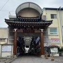 서부공설시장 | 영월 서부시장 구경하기 (점심 식사, 일미 닭강정 포장)