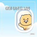 해외여행자보험 똑똑하게 비교하기: 투어모즈 vs 카카오페이 손해보험 내돈내산 현실 후기