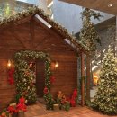 마시카롱 | 48. 난 복덩이 난 귀염둥이 🐥