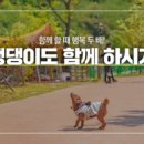 동반 이미지