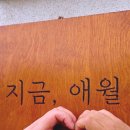 지금애월 | 제주도감성숙소 지금 애월 방문 후기와 그 주변 맛집기록