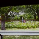 낙동제방 자전거도로 이미지