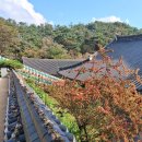 마곡사3 | [공주마곡사] 10월 여행지 단풍 구경 후기