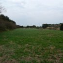 오토클럽 이미지