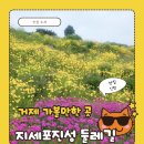 강성물회 회 구이 | [거제가볼만한곳]지세포둘레길, 라벤다길, 금계국, 지세포물회, 강성횟집