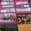 화산고구마 이미지