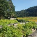 미천면-2 이미지