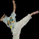 일비태권도장 이미지