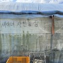 세아농장 이미지