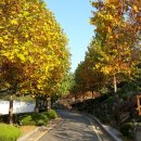 온천장로107번길 이미지