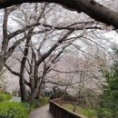 소리누리보청기 이미지