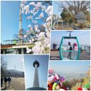 남산&N서울타워 | 서울역 남산도서관 방향으로 다녀온 서울 남산 공원 둘레길 N서울타워 남산자물쇠 남산하늘숲길 산책로...