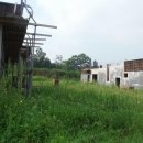 곡성-239 이미지