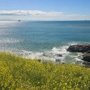 남해바다풍경 | 남해 다랭이마을 봄 풍경 여행 후기, 유채꽃과 바다가 만든 최고의 순간