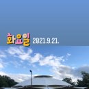 자인계정숲 이미지