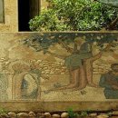 삭개오와뽕나무 이미지