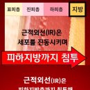 바이엔트 이미지