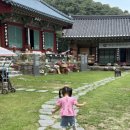 숲속산새소리어린이집 | 아산 가볼만한 곳 천년의 숲길 봉곡사로 산책 다녀오세요.
