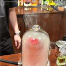 바다빈치 이미지