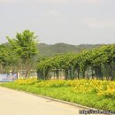 먹거리마당 Daum카페