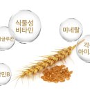 새싹식품 주식회사