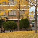 세븐일레븐인천석남새벽점 | 후쿠오카 여행 : DAY 1(인천공항/더로얄파크캔버스...블랑제/오호리공원 스타벅스/돈키호테/세븐일레븐)