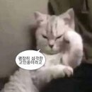 참사랑어머니회아가용품점 | 포항 산후도우미 참사랑어머니회 이용 솔직 후기(내돈내산)