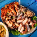 [곽지해수욕장 맛집] 오션뷰 애견동반 횟집 곽지해녀의집