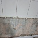 노이타 보니 | 수원 팔달구 화장실타일수리는 노이타일 수원점