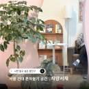 자양제4동도서관 | [광진 SNS 서포터스] 서울 건대 혼자놀기 공간 자양서재 자양제4동도서관