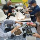 꽃길다육 이미지