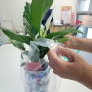 만경보건지소 이미지